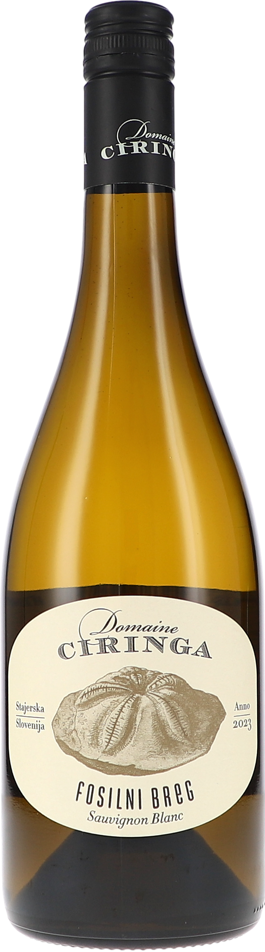 Ciringa, Fosilni Breg