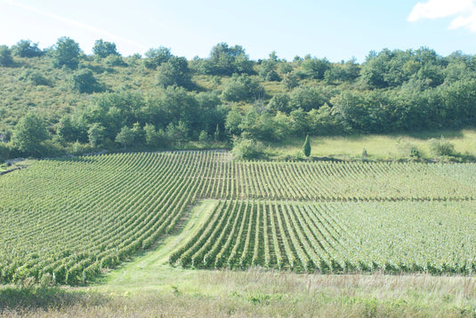 A. et P. de Villaine