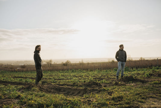 Gabriel & Simon Scheuermann, Pfalz