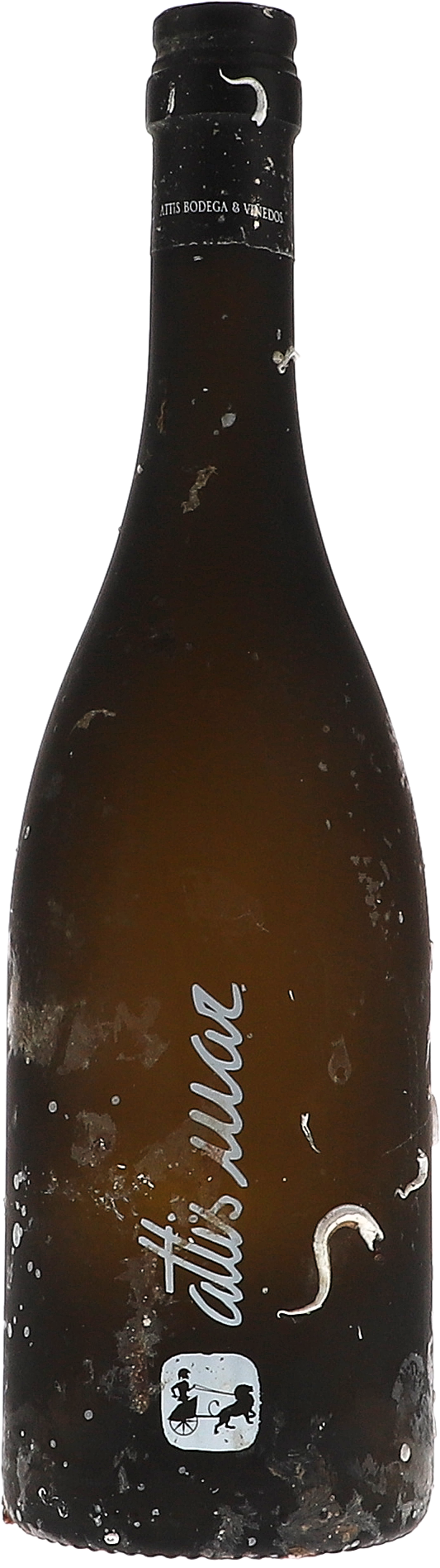 Attis Mar, gereift 9m unter Wasser im Galizischen Meer